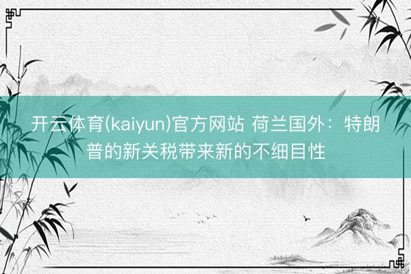 开云体育(kaiyun)官方网站 荷兰国外：特朗普的新关税带来新的不细目性