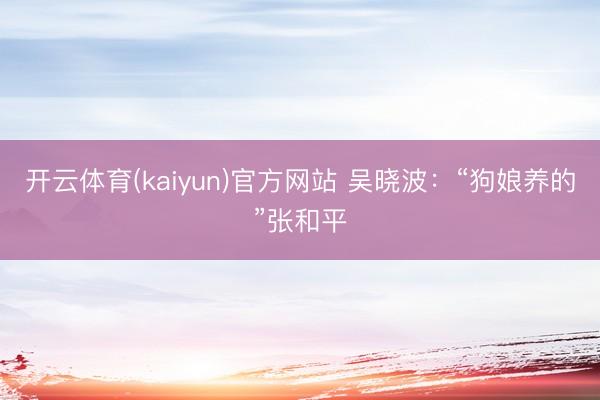 开云体育(kaiyun)官方网站 吴晓波：“狗娘养的”张和平