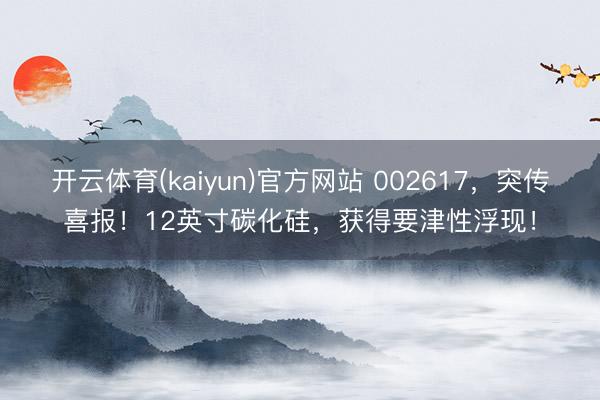 开云体育(kaiyun)官方网站 002617，突传喜报！12英寸碳化硅，获得要津性浮现！