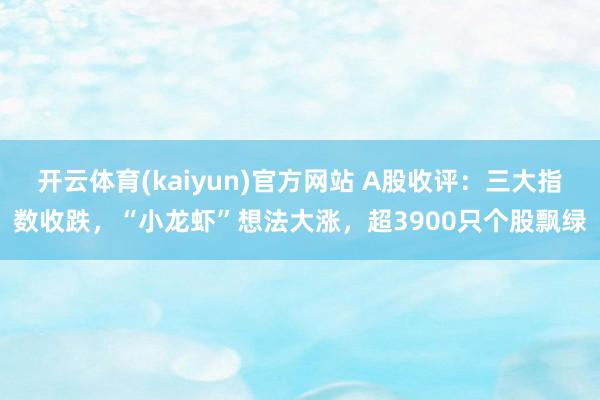 开云体育(kaiyun)官方网站 A股收评：三大指数收跌，“小龙虾”想法大涨，超3900只个股飘绿