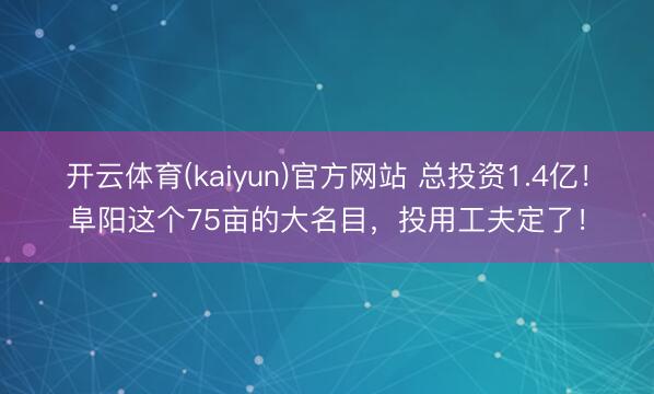 开云体育(kaiyun)官方网站 总投资1.4亿！阜阳这个75亩的大名目，投用工夫定了！