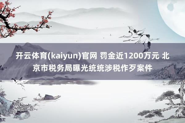 开云体育(kaiyun)官网 罚金近1200万元 北京市税务局曝光统统涉税作歹案件