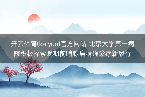 开云体育(kaiyun)官方网站 北京大学第一病院积极探索晚期前哨腺癌精确诊疗新履行