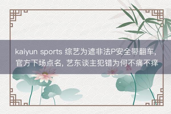 kaiyun sports 综艺为遮非法P安全带翻车， 官方下场点名， 艺东谈主犯错为何不痛不痒