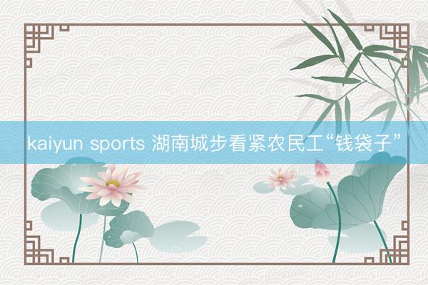 kaiyun sports 湖南城步看紧农民工“钱袋子”